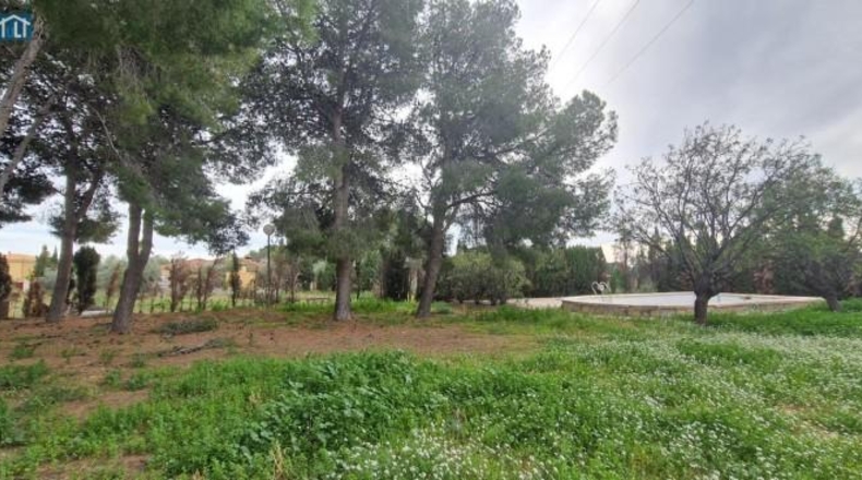 Alicante - San Vicente del Raspeig - 1220m2