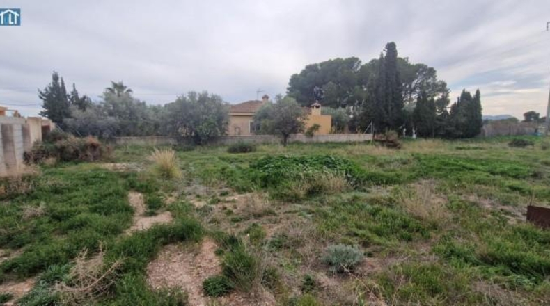 Alicante - San Vicente del Raspeig - 1220m2