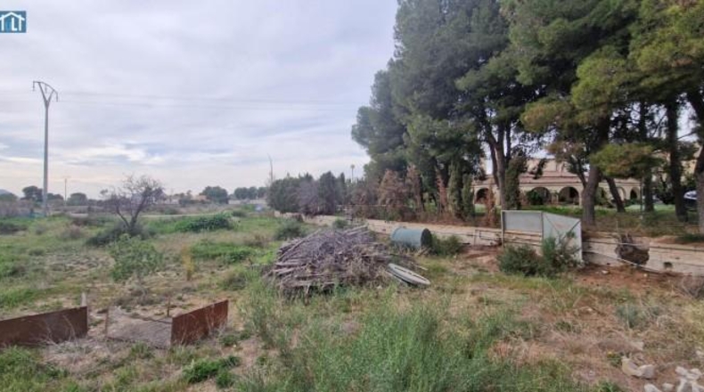 Alicante - San Vicente del Raspeig - 1220m2