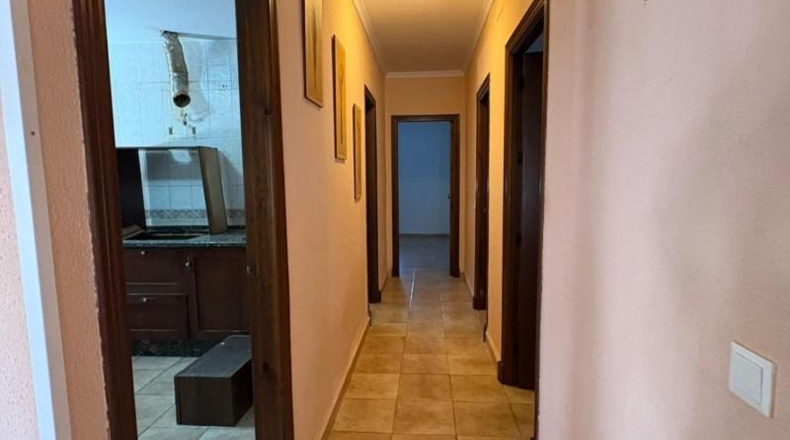Cádiz - Chiclana de la Frontera - 499m2