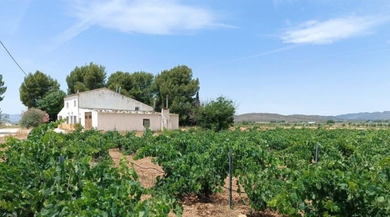 Murcia - Йекла - 20000m2