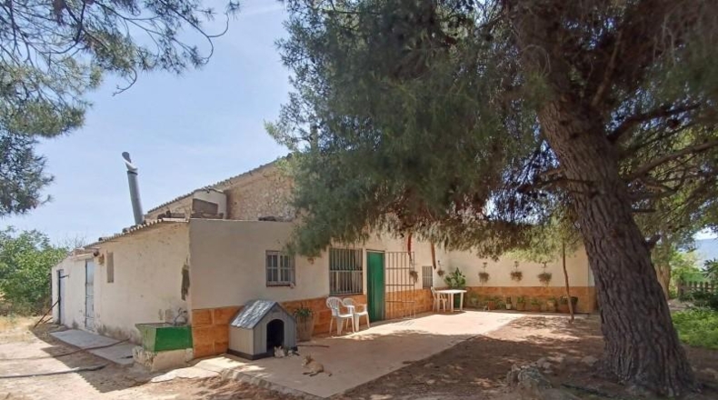 Murcia - Йекла - 20000m2