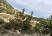 Chalet independiente con terreno en venta en la España, Abarán, ref: TR417348 foto