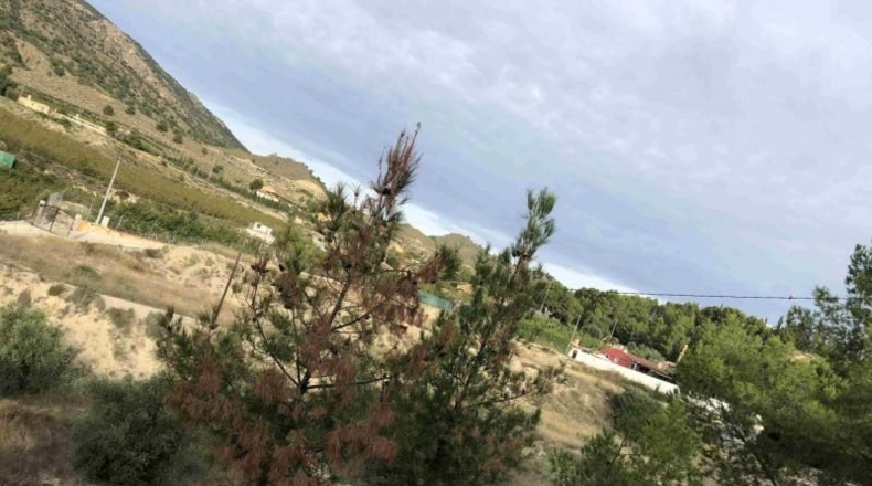 Murcia - Abarán - 150m2