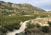 Chalet independiente con terreno en venta en la España, Abarán, ref: TR417348 foto