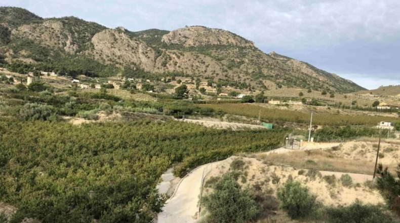 Murcia - Abarán - 150m2