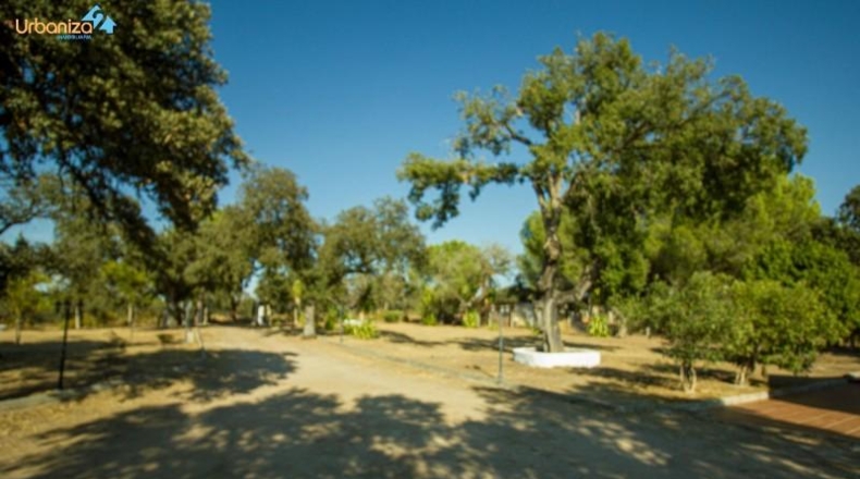 Badajoz - Badajoz - 9638m2