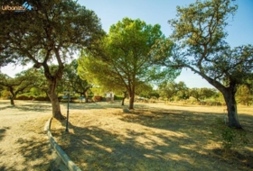 Badajoz 9638&nbsp;m²