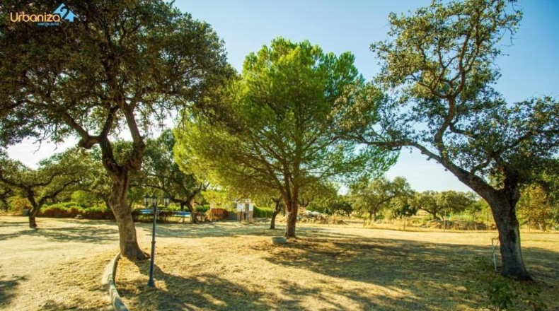 Badajoz - Badajoz - 9638m2