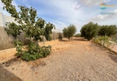 Casa de campo con terreno en venta en la España, Fuente Álamo, ref: TR170098 foto