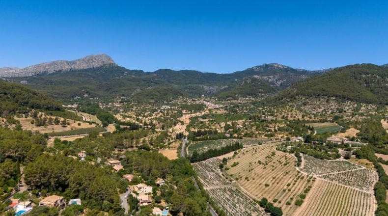 Islas Baleares - Puigpunyent - 1m2