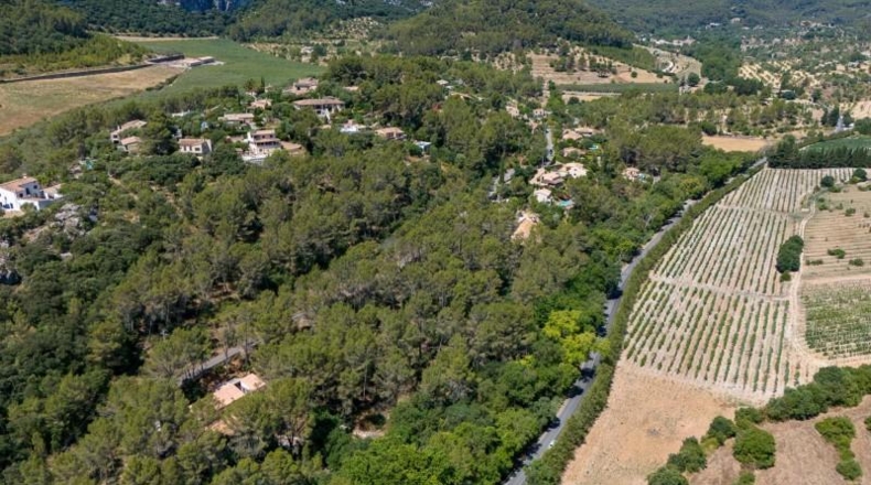 Islas Baleares - Puigpunyent - 1m2