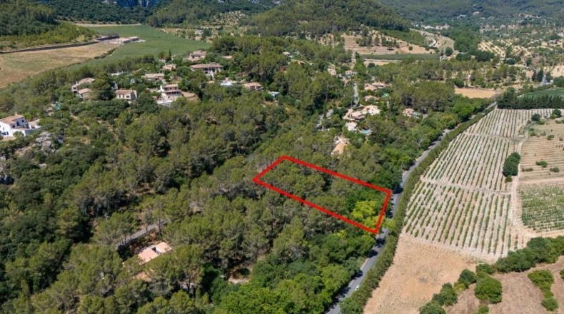 Islas Baleares - Puigpunyent - 1m2