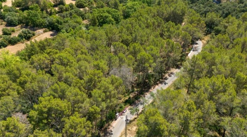 Islas Baleares - Puigpunyent - 1m2