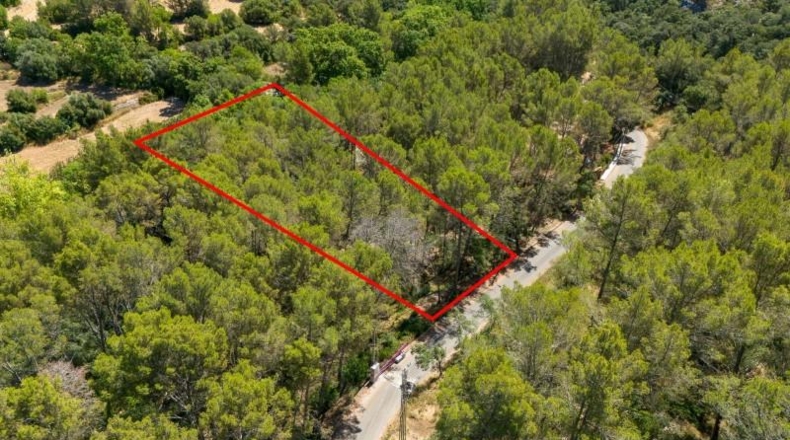 Islas Baleares - Puigpunyent - 1m2