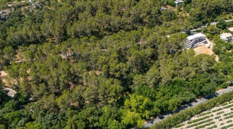 Islas Baleares - Puigpunyent - 1m2