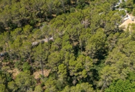 Puigpunyent 1&nbsp;m²