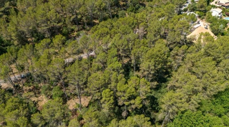 Islas Baleares - Puigpunyent - 1m2