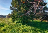 Urban land for sale on España, Sanxenxo, ref: TR417358 photo
