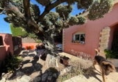 Detached villa with land for sale on España, Llorenç del Penedès, ref: TR417380 photo