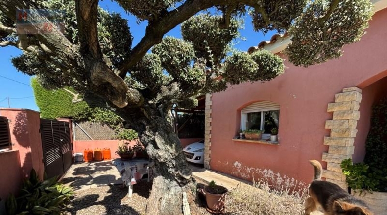 Tarragona - Llorenç del Penedès - 550m2
