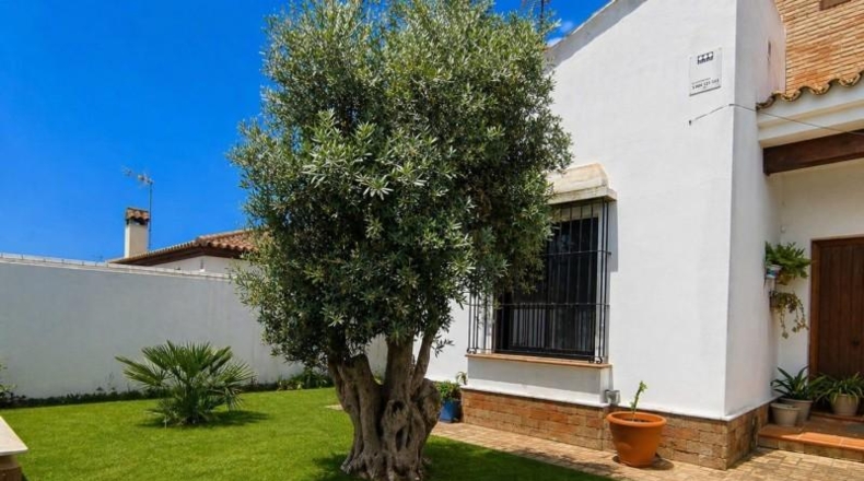 Cádiz - Chiclana de la Frontera - 459m2