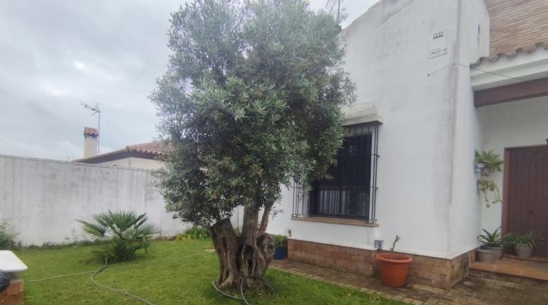 Cádiz - Chiclana de la Frontera - 459m2