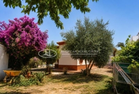 Chiclana de la Frontera 500&nbsp;m²