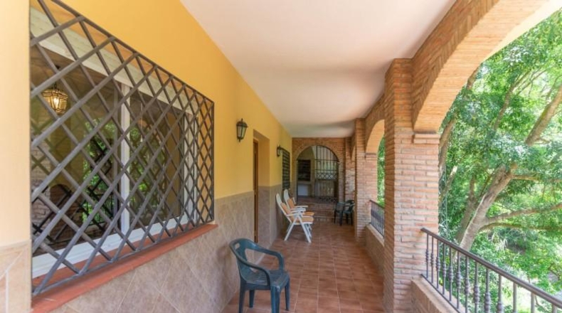 Малага - Alhaurín el Grande - 21000m2