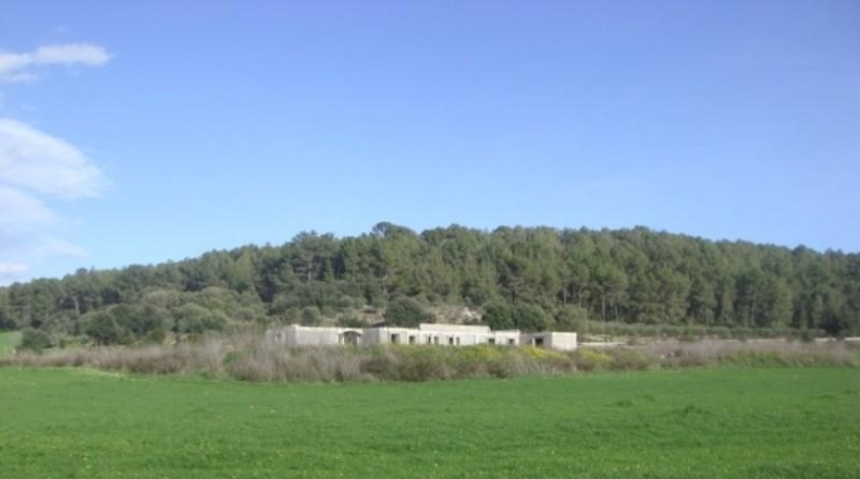Islas Baleares - Algaida - 52985m2