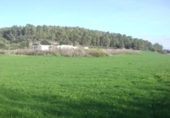 Detached villa with land for sale on España, Montuïri, ref: TR141875 photo