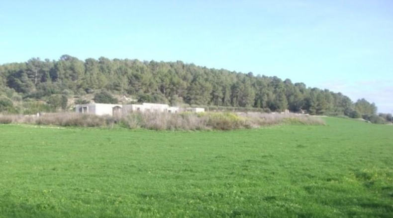 Islas Baleares - Algaida - 52985m2
