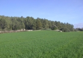 Detached villa with land for sale on España, Montuïri, ref: TR141875 photo
