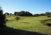 Masia amb terreny en venda a la FIXO-MILLERADA, Forcarei, ref.: TR417427 foto