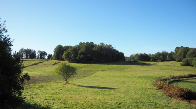 Pontevedra - Forcarei - 410m2