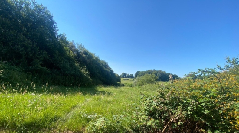 Pontevedra - Forcarei - 410m2