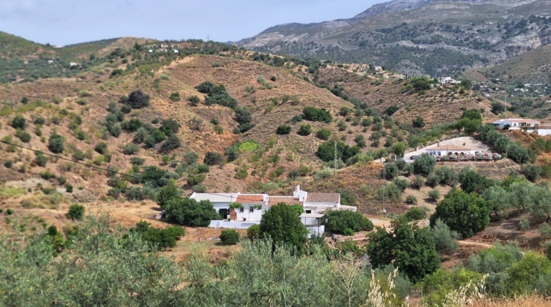 Малага - Sedella - 44000m2