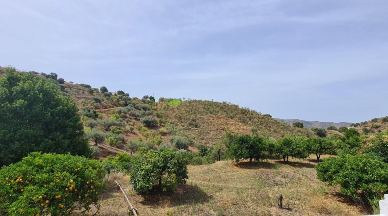 Малага - Sedella - 44000m2