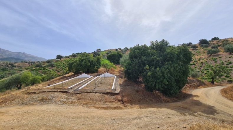 Малага - Sedella - 44000m2