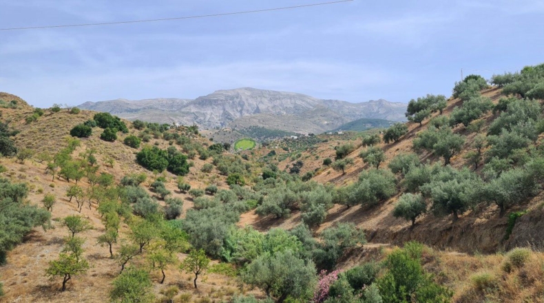 Малага - Sedella - 44000m2