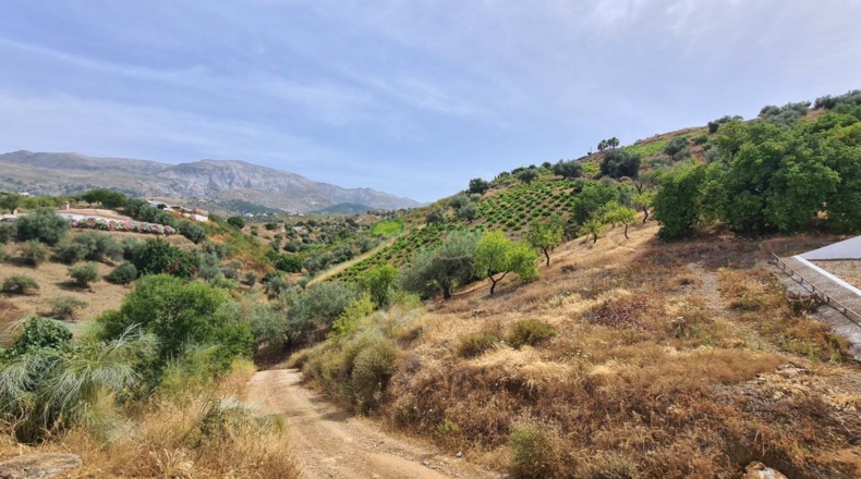 Малага - Sedella - 44000m2