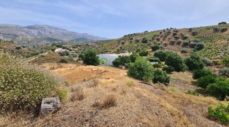 Малага - Sedella - 44000m2