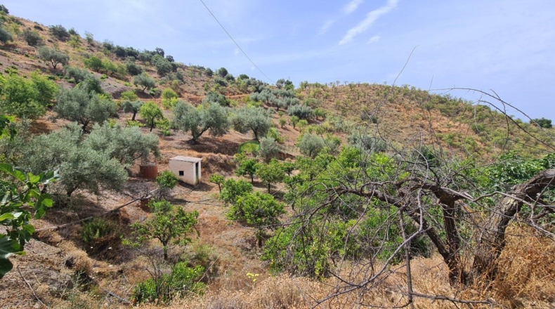Малага - Sedella - 44000m2