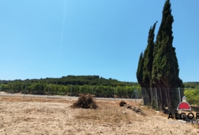 Vinaròs 875&nbsp;m²