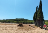 Terreno no urbanizable en venta en Vinaròs ref: TR417434 foto