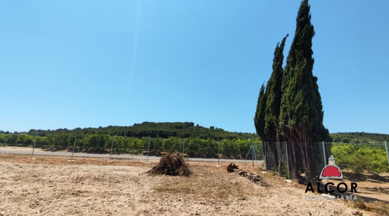 Castellon - Vinaròs - 875m2