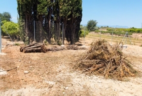 Vinaròs 875&nbsp;m²