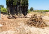 Terreno no urbanizable en venta en Vinaròs ref: TR417434 foto