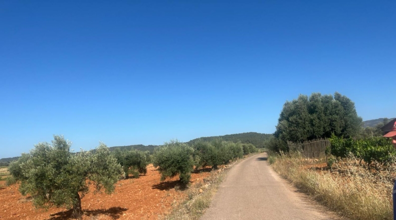 Castellon - les Useres - 9360m2