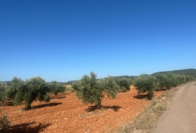 Useras 9360&nbsp;m²